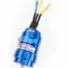 Rc Electronics * | Hobbywing Seaking 2848Sl Brushless Motor 3900Kv 90070010